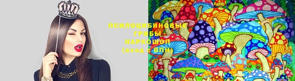 индика Абинск