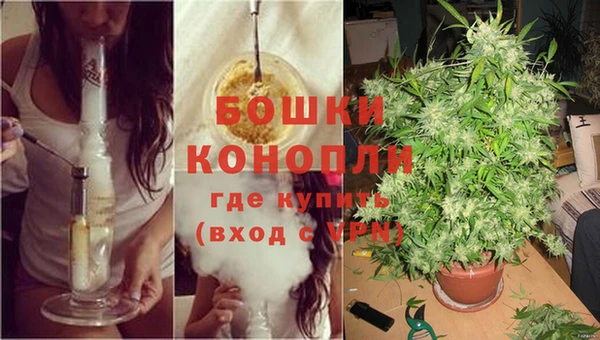 СК Абаза