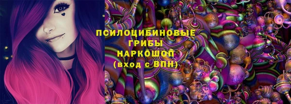 индика Абинск