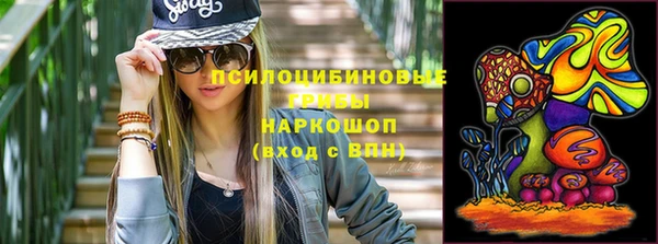 индика Абинск