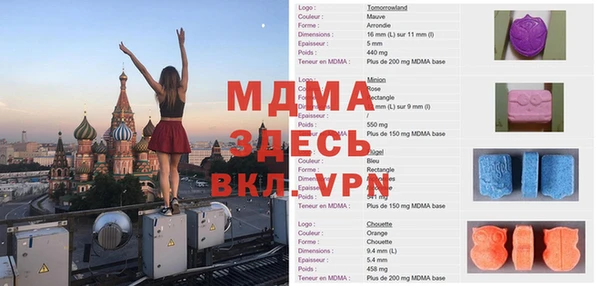 индика Абинск