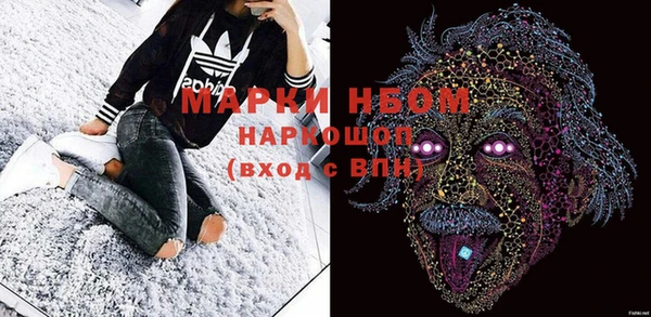 индика Абинск