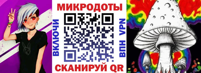Псилоцибиновые грибы Psilocybe  Ессентукская 