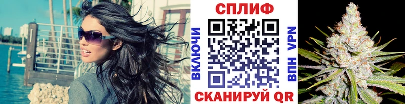 Марихуана планчик Ессентукская